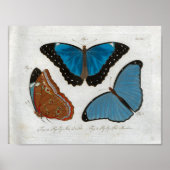 Vlinders  Print Download (Voorkant)