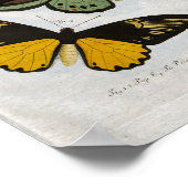 Vlinders  Print Download (Hoek)