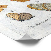 Vlinders  Print Download Geel (Hoek)