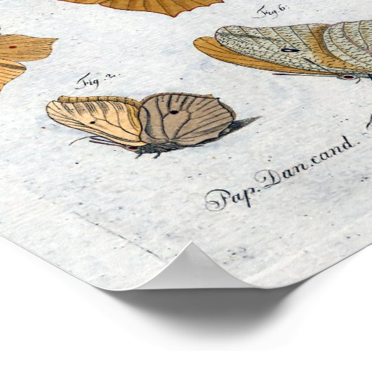 Vlinders Print Download Geel (Hoek)