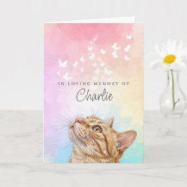 Vlinders Regenboog Oranje Tabby Kat Verlies Herden Kaart