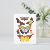 Vlinders, Transparante achtergrond, Briefkaart (Staand voorkant)