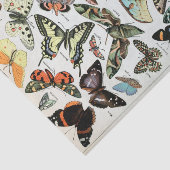  vlinders van de wereld tissuepapier (Detail)