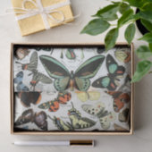  vlinders van de wereld tissuepapier (Geschenk)