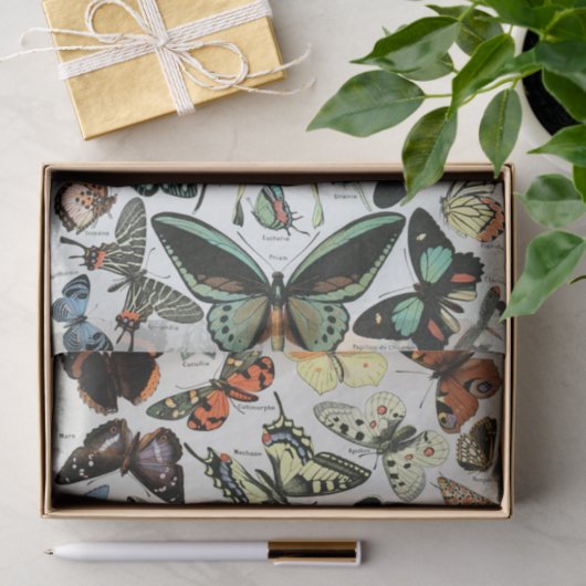 vlinders van de wereld tissuepapier (Geschenk)