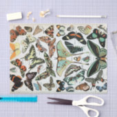  vlinders van de wereld tissuepapier (Craft)