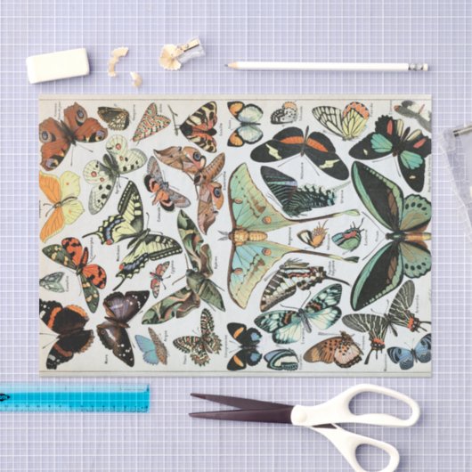 vlinders van de wereld tissuepapier (Craft)