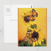 Vlinders van de zomer 1 briefkaart (Voorkant / Achterkant)