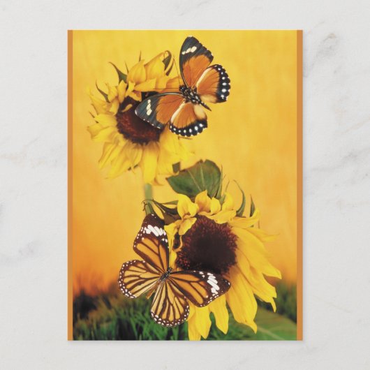 Vlinders van de zomer 1 briefkaart (Voorkant)