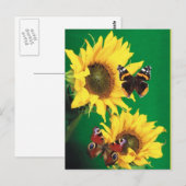 Vlinders van de zomer 2 briefkaart (Voorkant / Achterkant)