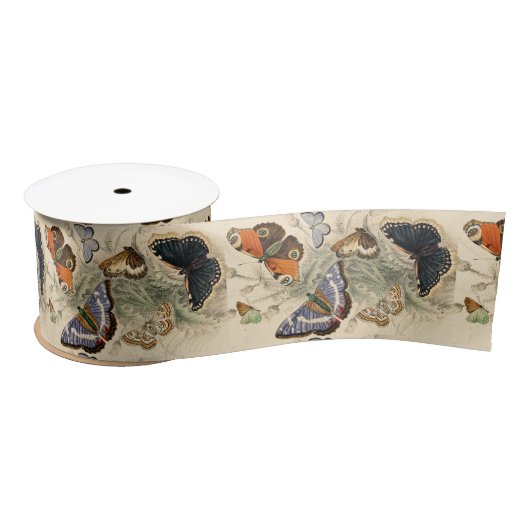 vlinders van Oliver Goldsmith Satijnen Lint (Spoel)
