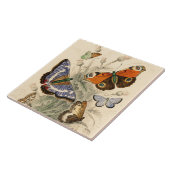  vlinders van Oliver Goldsmith Tegeltje (Zijkant)