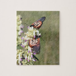 Vlinders vangen op "Amajuba Mountain" Legpuzzel