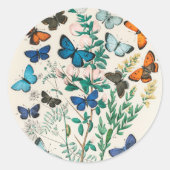 Vlinders, vintage illustratie, ronde sticker (Voorkant)