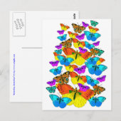 Vlinders! Vlinders! Briefkaart (Voorkant / Achterkant)