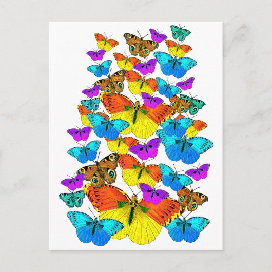 Vlinders! Vlinders! Briefkaart (Voorkant)