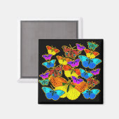 Vlinders! Vlinders! Magneet (Voorkant / Achterkant)