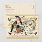  Vlinders & Vogels op Franse advertentie, Bericht Briefkaart (Voorkant / Achterkant)