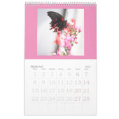 Vlinders zijn nog steeds gratis - a 2024 Calendar Kalender (Feb 2027)