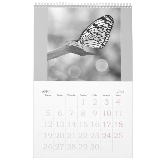 Vlinders zijn nog steeds gratis - a 2024 Calendar Kalender (Apr 2027)