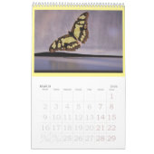 Vlinders zijn nog steeds gratis - a 2024 Calendar Kalender (Mar 2026)