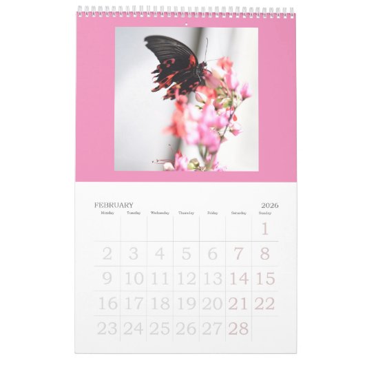 Vlinders zijn nog steeds gratis - a 2024 Calendar Kalender (Feb 2026)