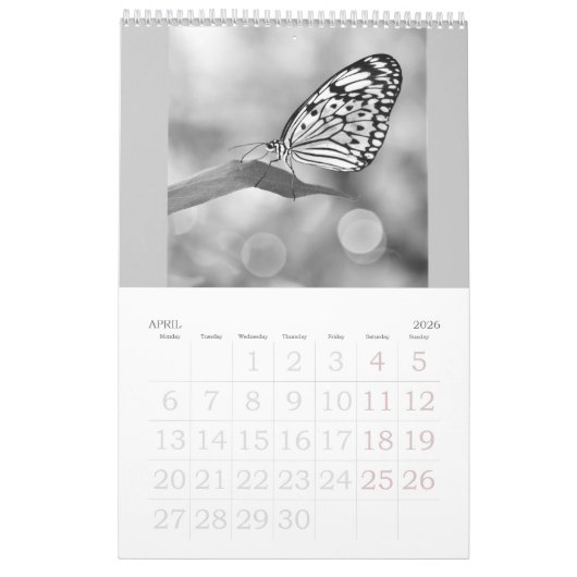 Vlinders zijn nog steeds gratis - a 2024 Calendar Kalender (Apr 2026)