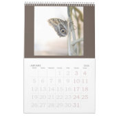 Vlinders zijn nog steeds gratis - a 2024 Calendar Kalender (Jan 2026)