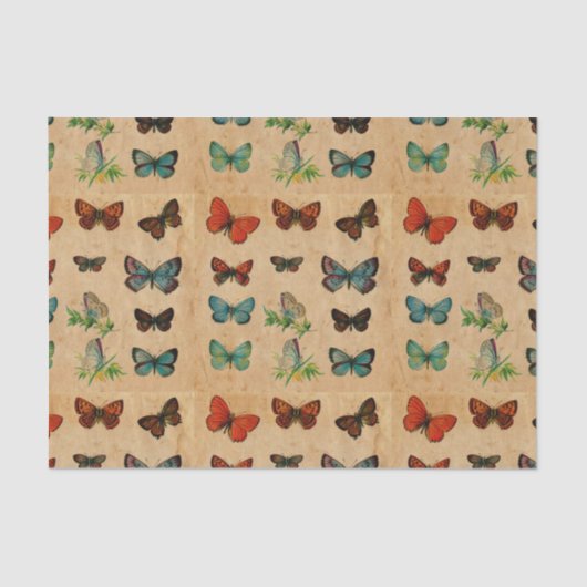  vlindersbevonden papier ontledingsmateriaal (Voorkant)