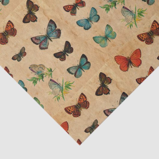  vlindersbevonden papier ontledingsmateriaal (Detail)