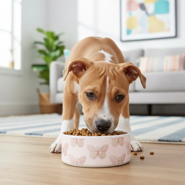 vlinderschaal voerbakje (Creator heeft geüpload)