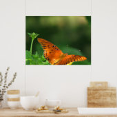 Vlinderserie Poster (Keuken)