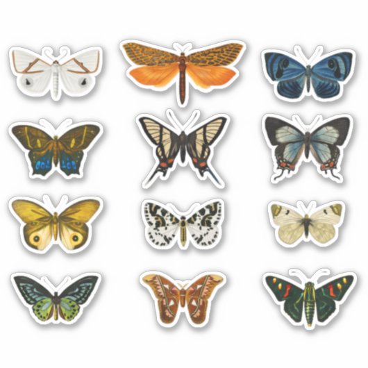  vlinderset 1 Stickers - Classic Floral (Voorkant)