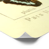  vlindersoortendiagram poster (Hoek)