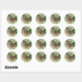 Vlinderstickers Ronde Sticker (Vel)