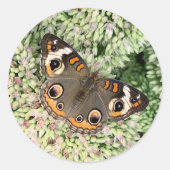 Vlinderstickers Ronde Sticker (Voorkant)