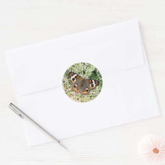 Vlinderstickers Ronde Sticker (Envelop)
