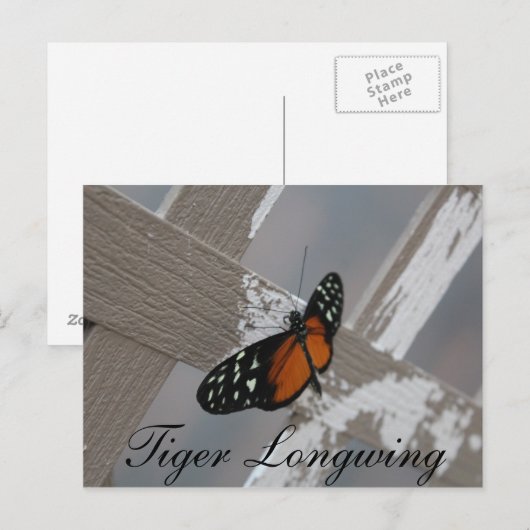 Vlindertijger Longwing # 1 Briefkaart (Voorkant / Achterkant)