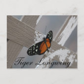 Vlindertijger Longwing # 1 Briefkaart (Voorkant)