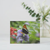 Vlindertuin briefkaart (Staand voorkant)