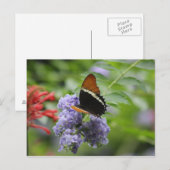 Vlindertuin briefkaart (Voorkant / Achterkant)