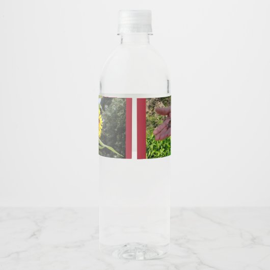Vlindertuin Waterfles Etiket (Achterkant)