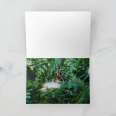 VLINDERVERWONDERING KAART (Binnen)