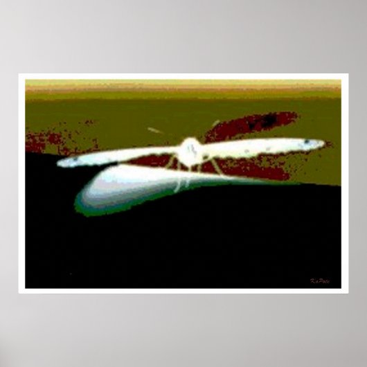 Vlindervleugels Abstract Poster (Voorkant)