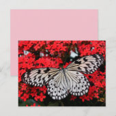 vlindervleugels briefkaart (Voorkant / Achterkant)