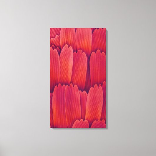 Vlindervleugelweegschalen Canvas Afdruk (Voorkant)