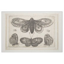  vlindervlieg Lepidoptera Tapestry (57)
