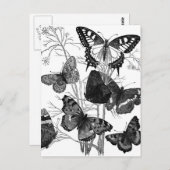  vlindervliegen afdrukken briefkaart (Voorkant / Achterkant)