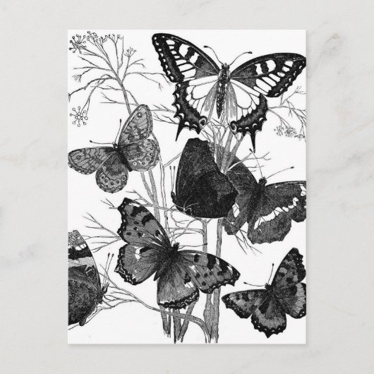 vlindervliegen afdrukken briefkaart (Voorkant)