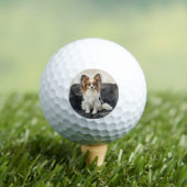 Vlindervlinder Golfballen (Insitu Shirt)